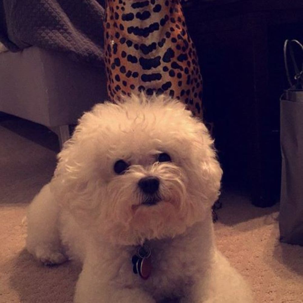 Meet your Posher, Christopher